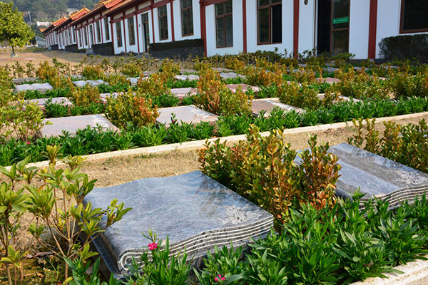 武汉龙泉山孝恩园树葬墓地价格