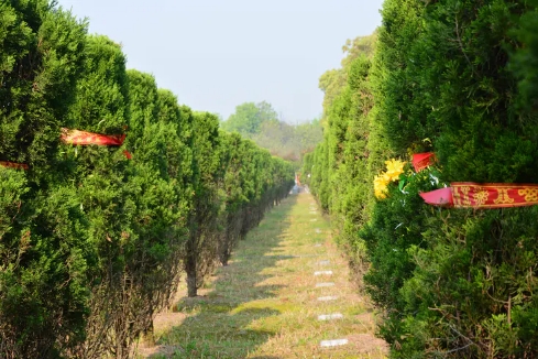 武汉龙泉山孝恩园热销款墓地价格