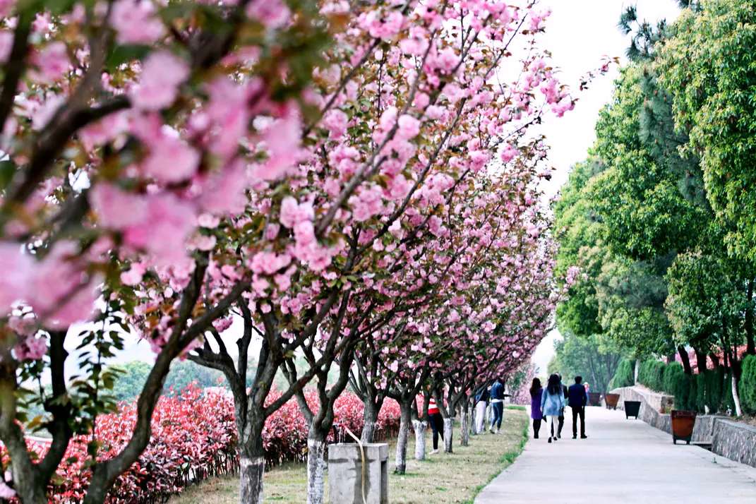 亲人去世了能不穿寿衣吗？