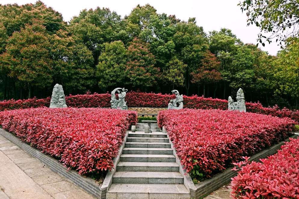 购买墓地什么样的朝向风水环境最好？