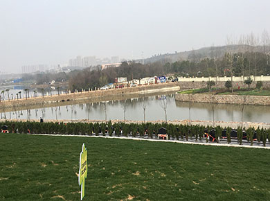 陵园朝向好的墓地应该如何