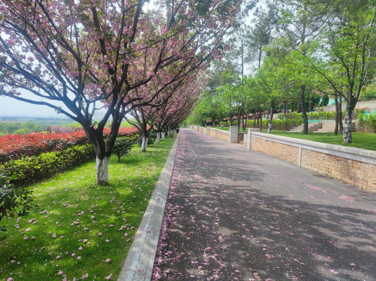 白喜事丧仪钱该怎么给？给多少？