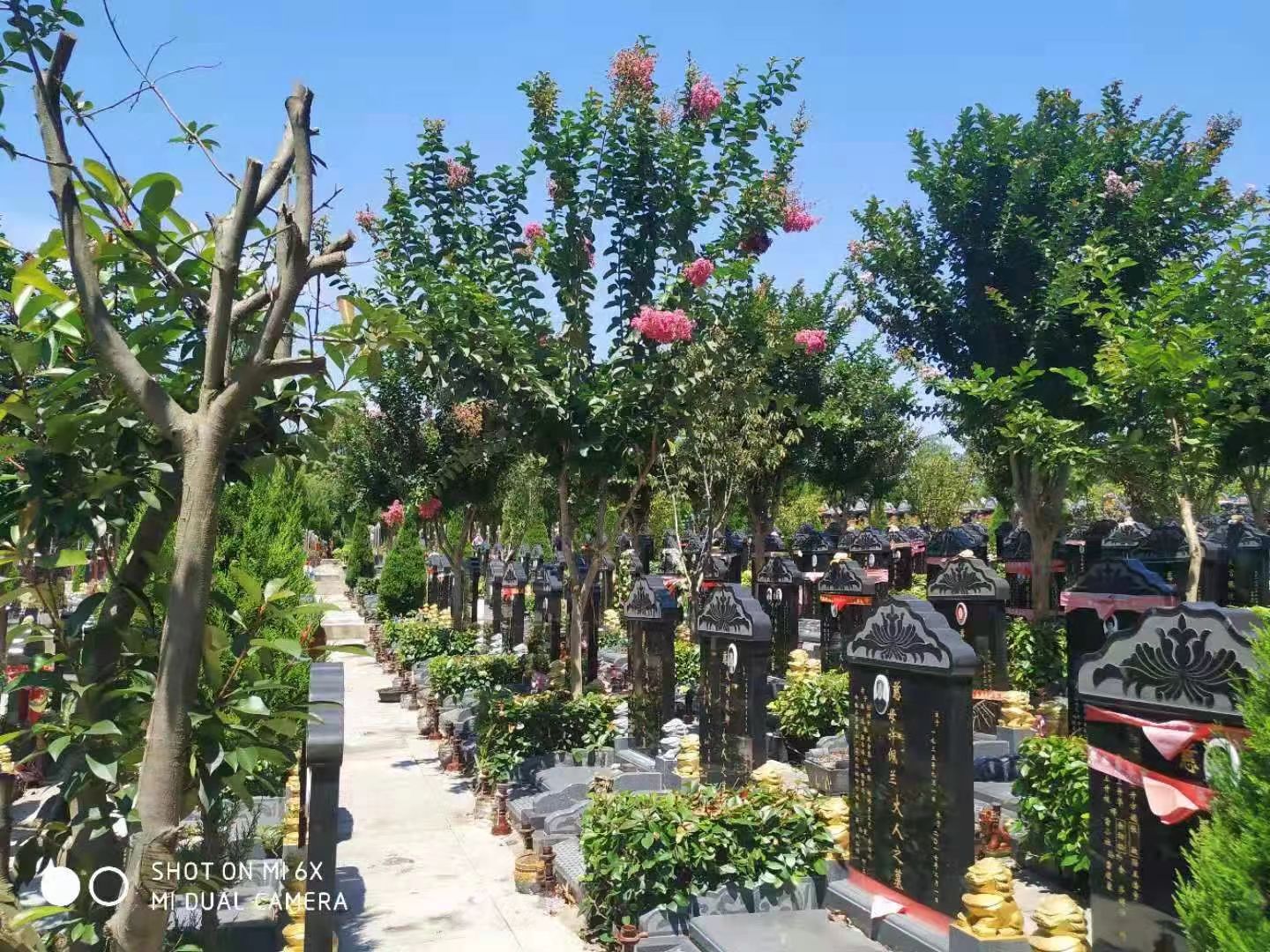 冬至祭扫知多少？