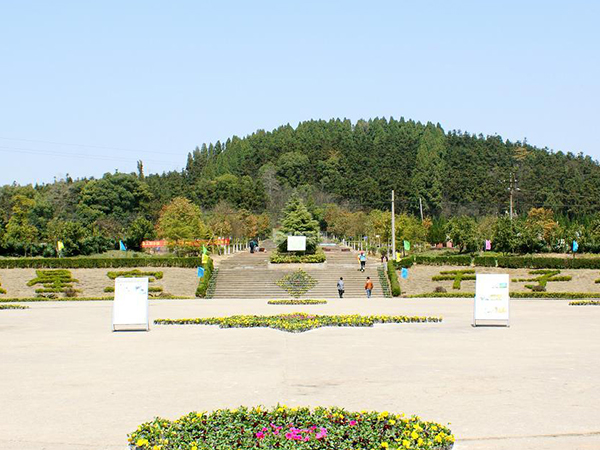 墓地选墓穴排号有什么讲究？