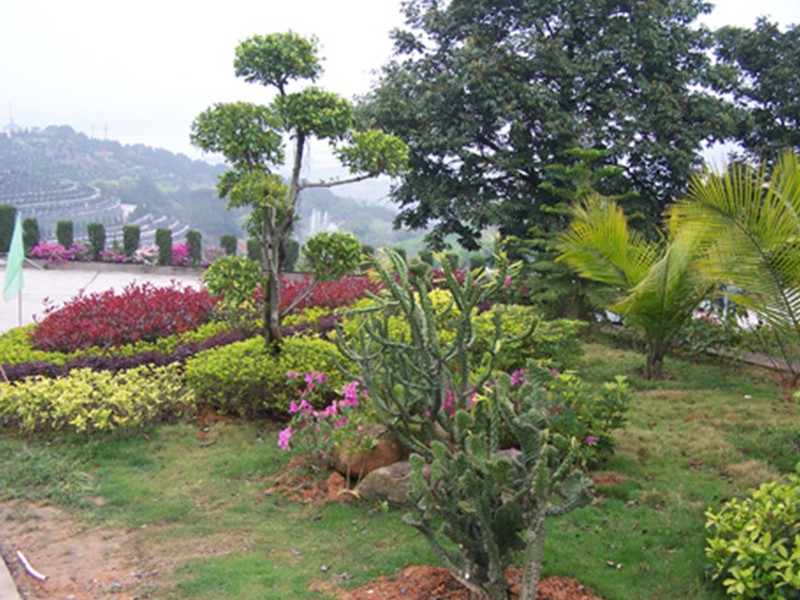 骨灰不易在殡仪馆寄存太久