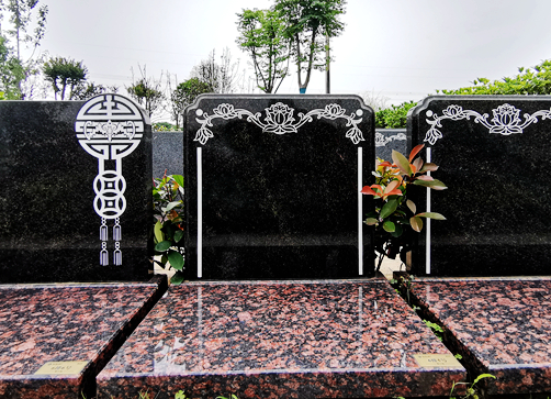 正确对待这一世的精彩人生吧！不管你啥样都是独一无二的！