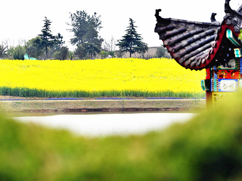 长乐园陵园前后立碑价格-长乐园陵园前后立碑墓地墓地介绍-长乐园公墓电话