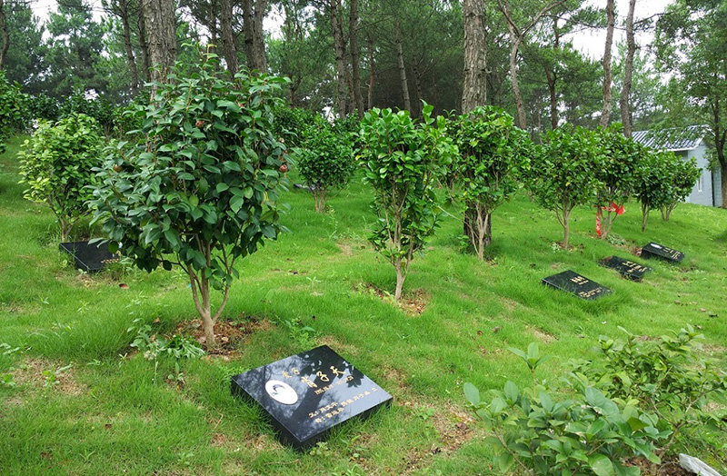 长乐园陵园树葬墓地价格-长乐园陵园树葬墓地墓地介绍-长乐园公墓电话