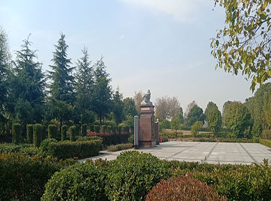 武汉万福净土陵园万安树葬区墓地价格-2024年11月更新