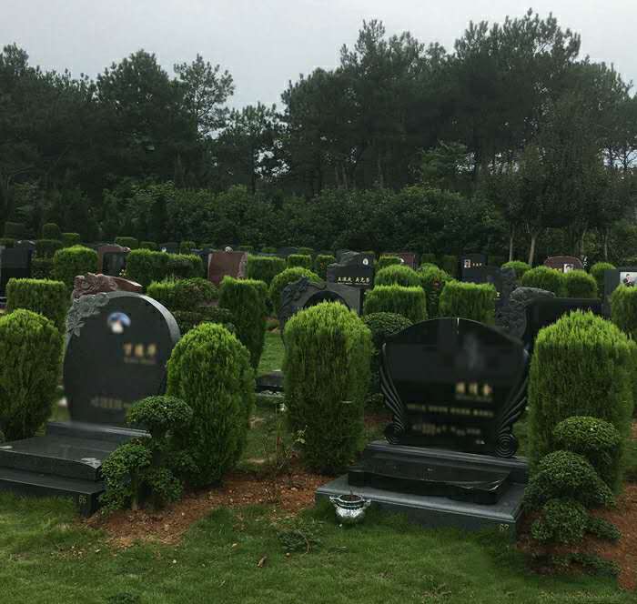 九峰寿安林苑：宁静与永恒的栖息之所