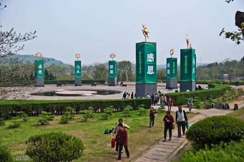 清明鲜花祭扫，让思念在芬芳中绽放