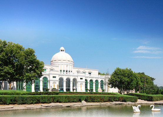 祭祖需要带哪些东西？