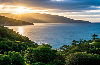 石门峰陵园公益服务项目-武汉石门峰陵园咨询