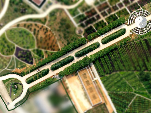 传统烧纸习俗：给逝者“送钱”的门道与禁忌