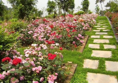 逝者遗物的留与舍：在思念与前行间寻得平衡