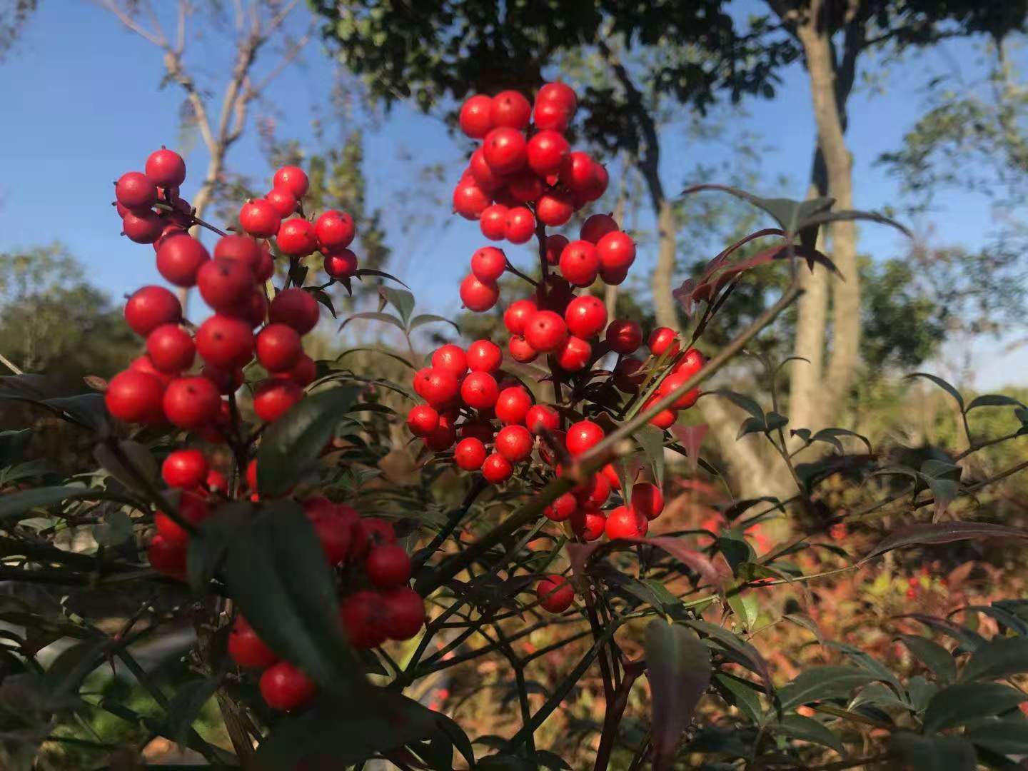 人死后停灵三日再出殡：藏在习俗里的智慧与深情