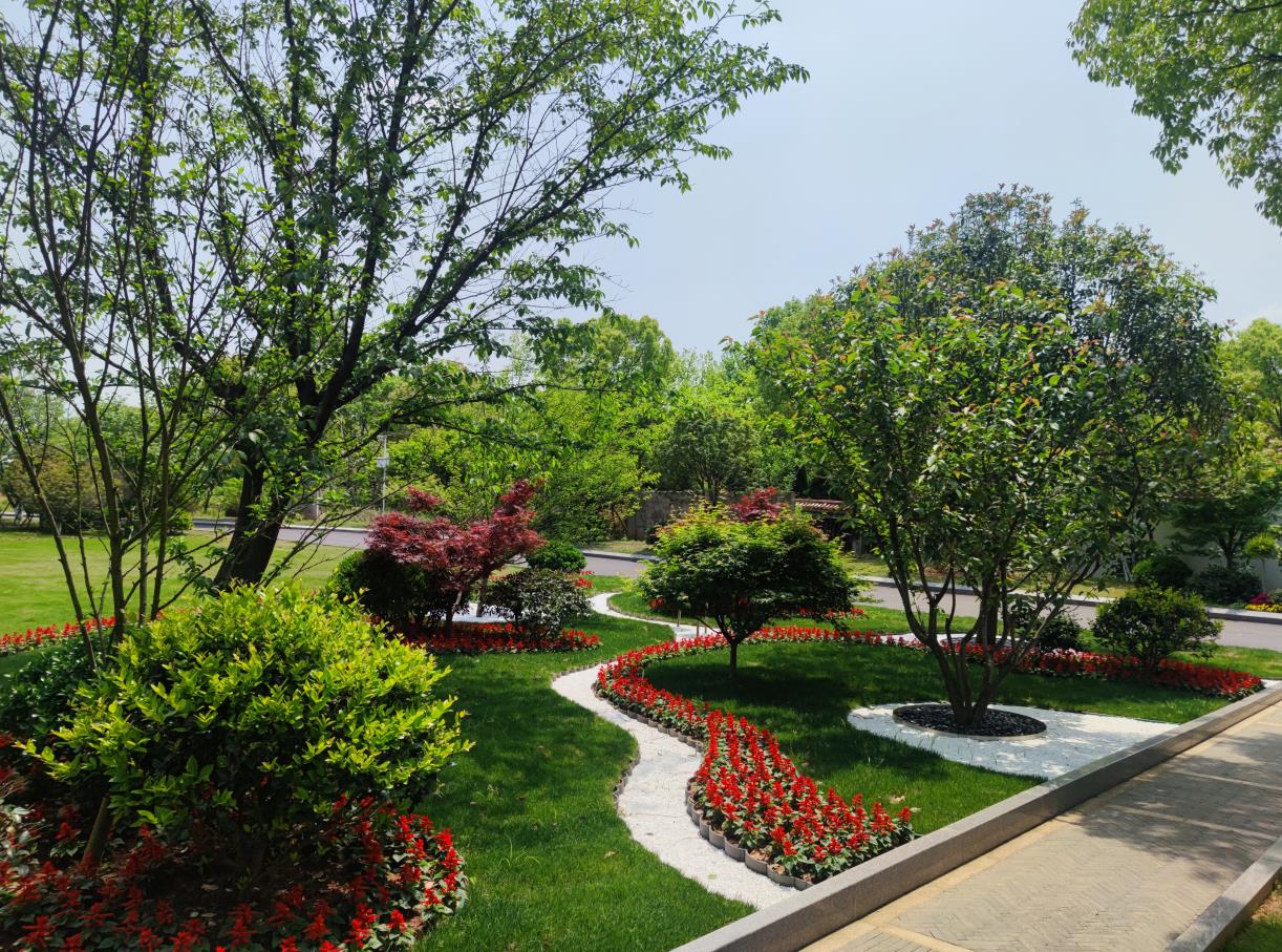 火葬、土葬与生态树葬