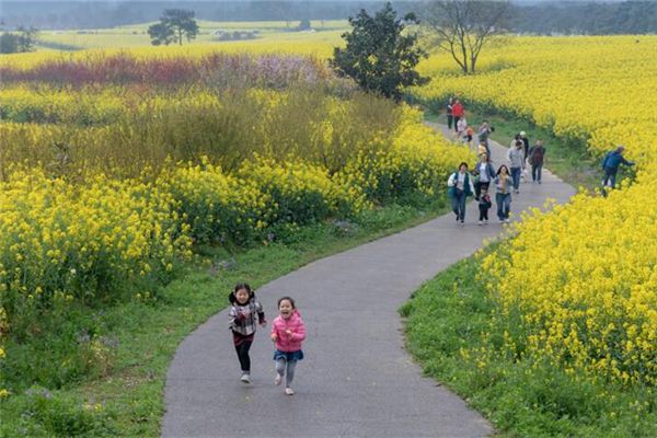 梦见被追赶有什么含义？