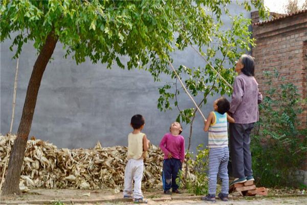 梦见拿杆子打枣
