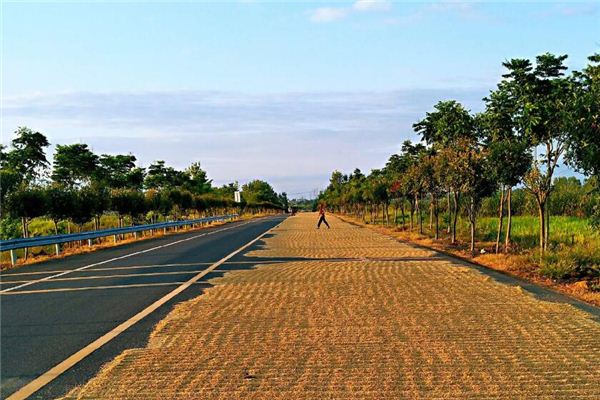 梦见晒谷子什么意思