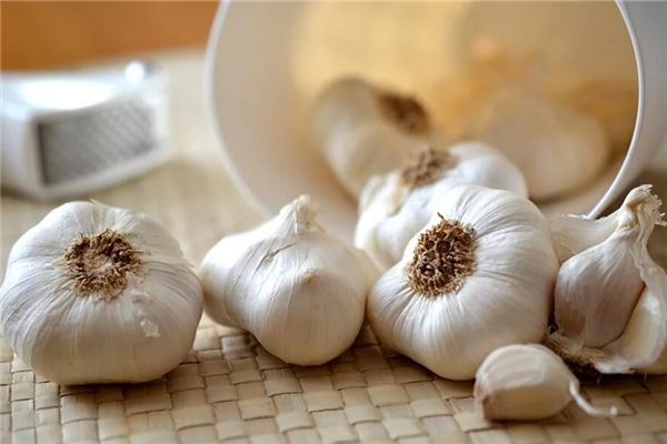 已婚女人梦见蒜头