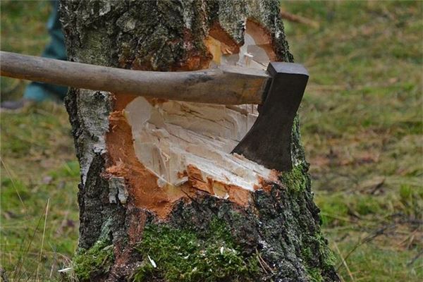 梦见和别人上山砍柴