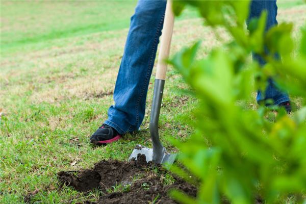 梦见挖墓地是什么预兆