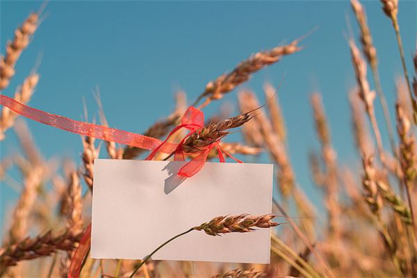 已婚女人梦见白纸