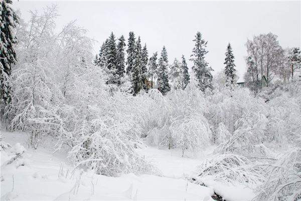梦到地面有白茫茫的雪