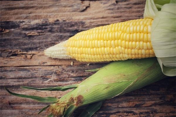 女人梦见掰青玉米棒子