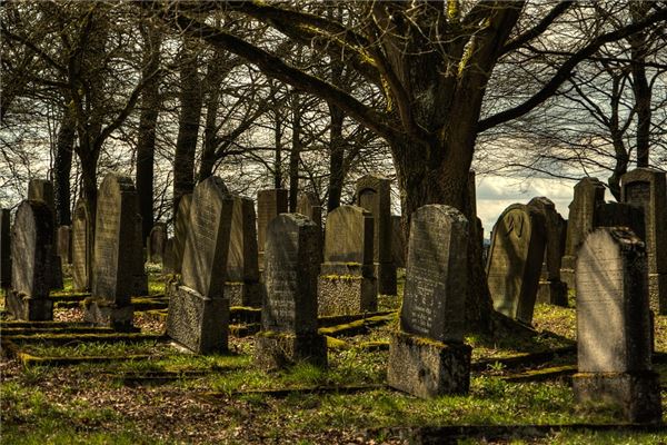 已婚女人梦见很多土坟