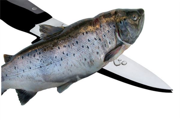 梦见杀鱼是什么预兆