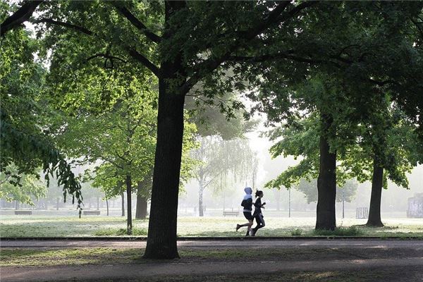 女人梦见逃跑成功
