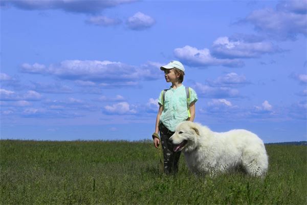 梦见狗很热情舔我