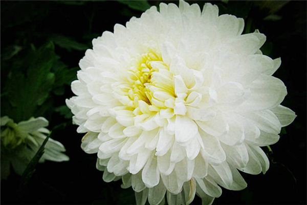 梦见死去的父亲